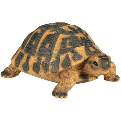 Tortue hermann en résine grand modèle