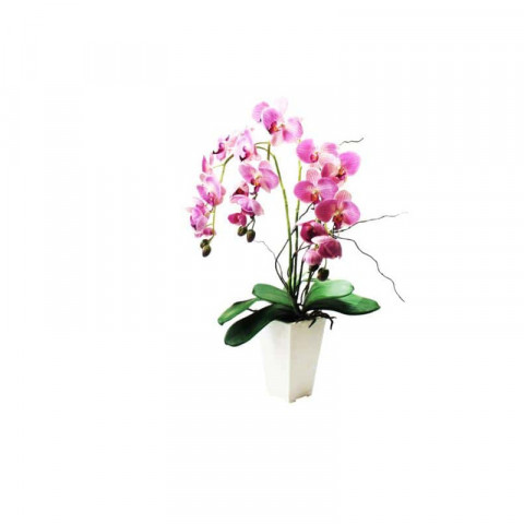 Composition artificielle orchidée haute fuchsia 3 tiges 65cm
