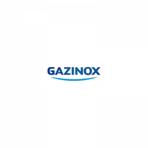 Gazinox - 037053 - tuyau inox validité illimitée longueur 1,50 mètres