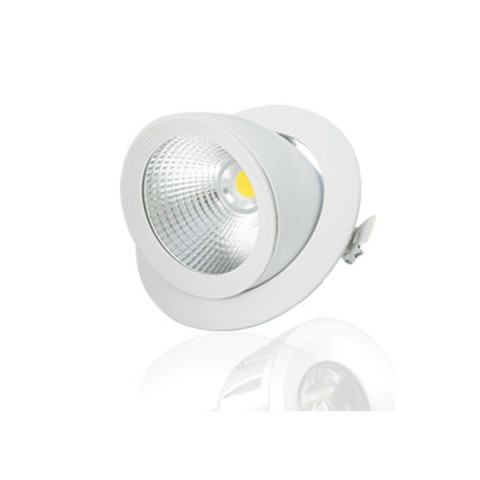 Spot LED COB Escargot 10W - Couleur eclairage - Blanc chaud 3000°K