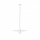 Suspension blanche plat 1 ampoule