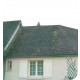 Démoussant curatif/préventif dimousse mur-façade-toiture-20l 