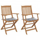 Chaises pliables de jardin avec coussins bois d'acacia - Couleur des coussins et nombre de chaises au choix Carreaux-gris