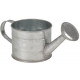 Petit arrosoir déco 75cl en zinc
