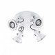 Spot blanc ring 4 ampoules