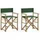 Chaises pliables de directeur 2 pcs bambou et tissu - Couleur au choix Vert