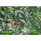 Haie de laurier rose clipsable sur mesure 