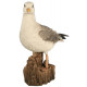 Mouette sur son rocher en résine 36 cm