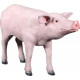 Cochon tête droite en résine 96 cm