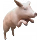 Cochon rose debout en résine 133 cm
