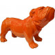 Bouldogue anglais coloré en résine - Couleur au choix Orange