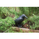 Epouvantail corbeau pour éloigner les pigeons 