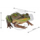 Grenouille en résine 34 cm 