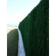 Haie artificielle 126 brins vert sapin en rouleau ultra (lot de 8) 1.2 x 3 m 