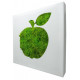 Tableau végétal picto pomme en lichen stabilisé 20cm