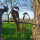 Oiseaux sur pique couple d'hirondelles en acier corten 