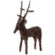 Cerf sur pied