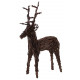 Cerf sur pied moyen modèle