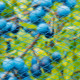 Filet d'oiseaux nano 10x4 m bleu 