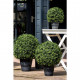 Boules de buis artificiels 2 pièces vert 42 cm 417629 