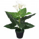 Plante artificielle avec pot lis calla 45 cm blanc