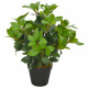 Plante artificielle avec pot laurier vert 40 cm