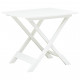 Table pliable de jardin plastique - Couleur au choix