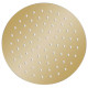 Pomme de douche pluie pulvérisateur pommeau de douche tête de douchette accessoire de salle de bain acier inoxydable 20 cm ronde doré 