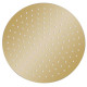 Pomme de douche pluie pulvérisateur pommeau de douche tête de douchette accessoire de salle de bain acier inoxydable 30 cm ronde doré  