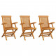 Chaises de jardin 3 pcs bois de teck massif