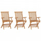 Chaises de jardin pliables 3 pcs bois de teck massif