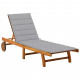 Chaise longue de jardin avec coussin bois d'acacia solide