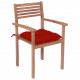 Chaises de jardin 2 pcs avec coussins rouge bois de teck massif 
