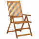 Chaises pliables de jardin 3 pcs avec coussins bois d'acacia 