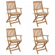 Chaises pliables de jardin 4 pcs avec coussins bois d'acacia - Beige