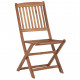 Chaises pliables de jardin 4 pcs avec coussins bois d'acacia - Rouge 