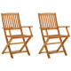 Chaises de jardin pliables 2 pcs bois d'eucalyptus massif