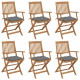 Chaises pliables de jardin avec coussins bois d'acacia - Couleur et nombre de places au choix Gris