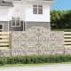 Panier de gabions arqué 300x50x160/180 cm fer galvanisé