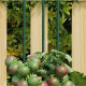 Piquets pour plantes de jardin 30 pcs vert 90 cm acier