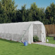 Serre avec cadre en acier blanc 32 m² 16x2x2 m