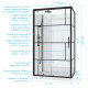 Cabine de douche 110x80cm / receveur bas - verre transparent sérigraphié et blanc - profilés noir 