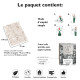 Papier peint forêt tropicale beige - FORESTA PASTELLO++ 