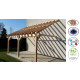 Abri une pente adosse, 400cmx400cm, bois douglas francais, carport, auvent, abri voiture, cpbf-v1pa400x400 