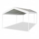 Abri voiture 3 x 5 m blanc Virage