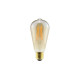 Ampoule led st64 xxcell - dimmable - 9 w - 950 lumens - 2500 k - e27