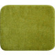 Tapis de salle de bain fantastic vert 50 x 60 cm