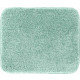 Tapis de salle de bain lex vert 50x60