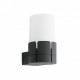 Aplique murale de jardin gris foncé tram 1 ampoule