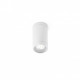 Plafonnier de jardin blanc olot 1 ampoule